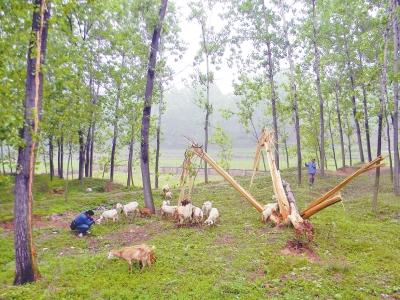 פ��������������������۶� ��������&ldquo;��&rdquo;